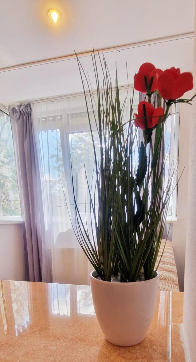 Stephanie Apartment-Centru Civic Brasov Ngoại thất bức ảnh