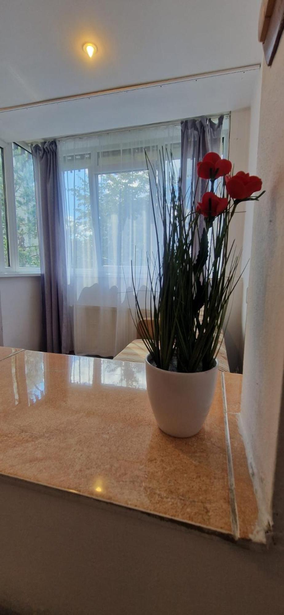 Stephanie Apartment-Centru Civic Brasov Ngoại thất bức ảnh
