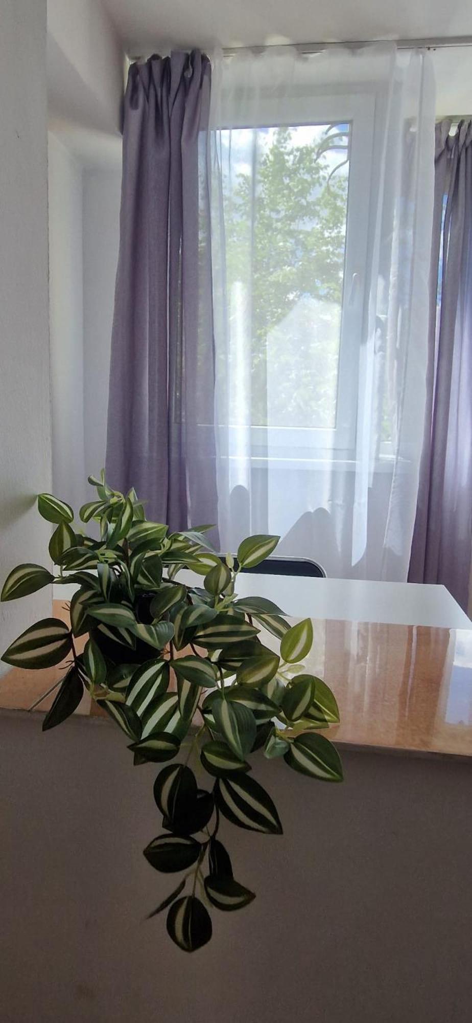 Stephanie Apartment-Centru Civic Brasov Ngoại thất bức ảnh