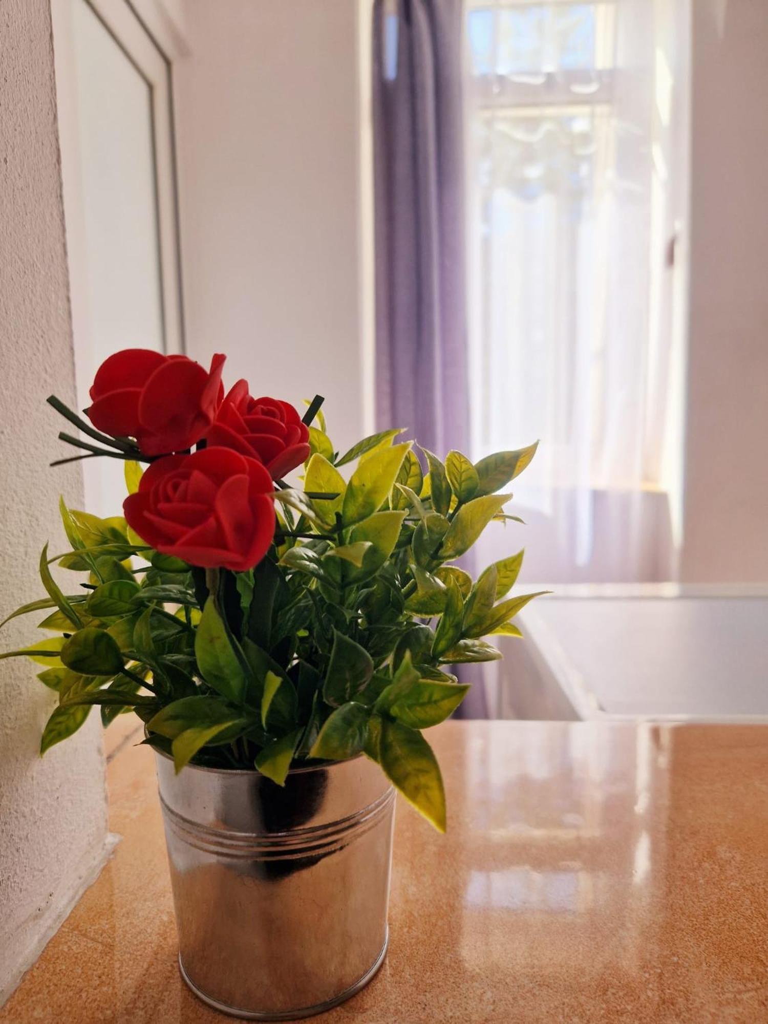 Stephanie Apartment-Centru Civic Brasov Ngoại thất bức ảnh